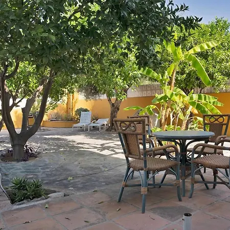 Mediterranean Near The Sea In - Palmeras 23a Lejlighed