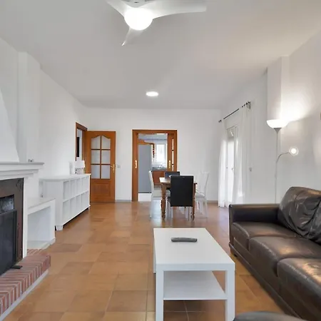 Mediterranean Near The Sea In - Palmeras 23a