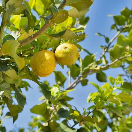 Mediterranean Near The Sea In - Palmeras 23a Lejlighed *