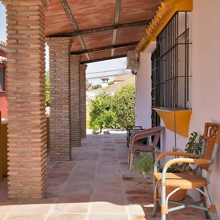 Mediterranean Near The Sea In - Palmeras 23a