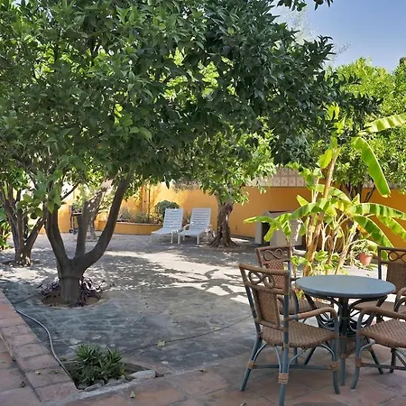 Mediterranean Near The Sea In - Palmeras 23a *