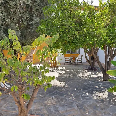 Mediterranean Near The Sea In - Palmeras 23a * Marbella