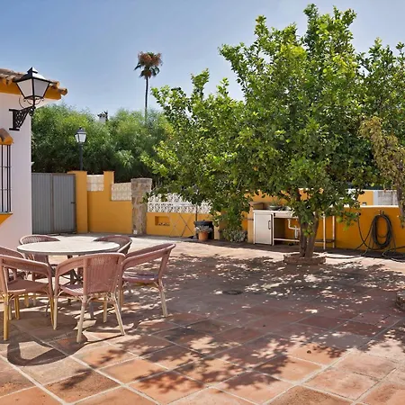 Mediterranean Near The Sea In - Palmeras 23a *