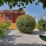 Mediterranean Near The Sea In - Palmeras 23a * 마르베야