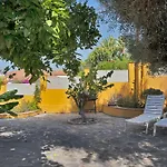 Mediterranean Near The Sea In - Palmeras 23a