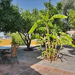 Mediterranean Near The Sea In - Palmeras 23a 마르베야