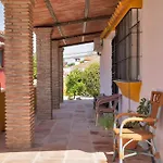 Mediterranean Near The Sea In - Palmeras 23a