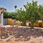 Mediterranean Near The Sea In - Palmeras 23a *