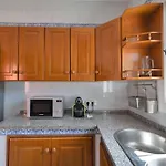 Mediterranean Near The Sea In - Palmeras 23a