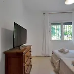Mediterranean Near The Sea In - Palmeras 23a