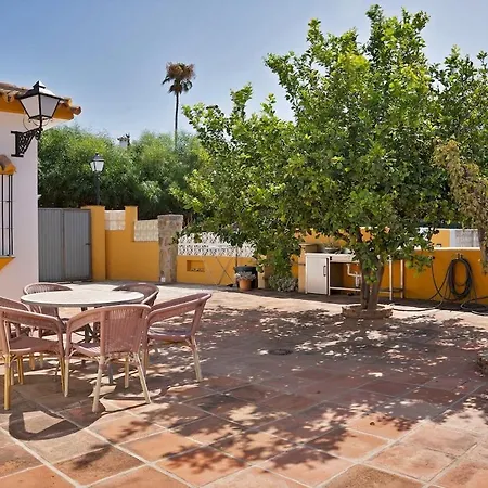 Mediterranean Near The Sea In - Palmeras 23a *