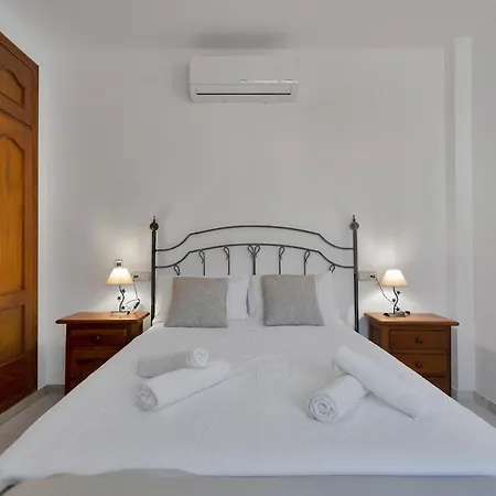 Mediterranean Near The Sea In - Palmeras 23a