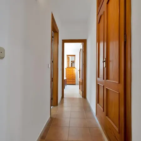 Mediterranean Near The Sea In - Palmeras 23a