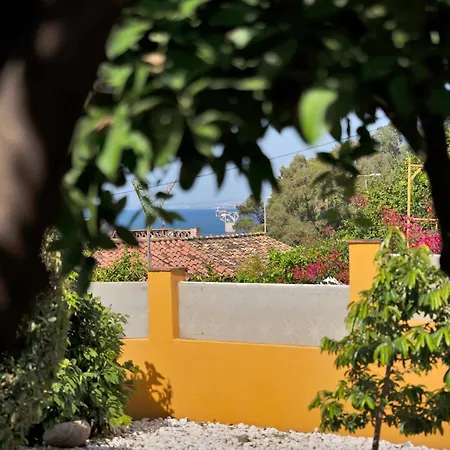 Mediterranean Near The Sea In - Palmeras 23a 마르베야