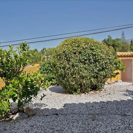 Mediterranean Near The Sea In - Palmeras 23a *