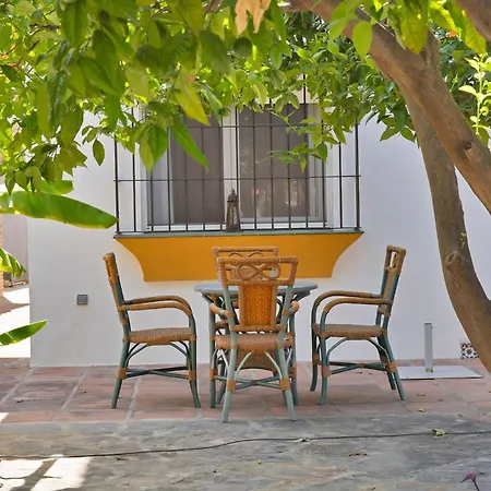 Mediterranean Near The Sea In - Palmeras 23a * 마르베야