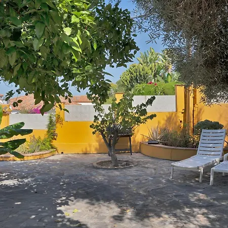 Mediterranean Near The Sea In - Palmeras 23a