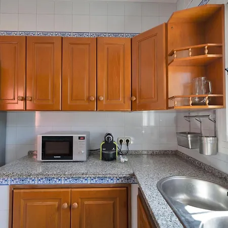 Mediterranean Near The Sea In - Palmeras 23a