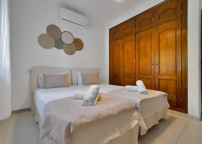 Mediterranean Near The Sea In - Palmeras 23a