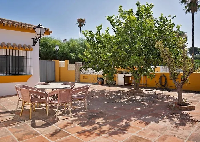 Mediterranean Near The Sea In - Palmeras 23a *