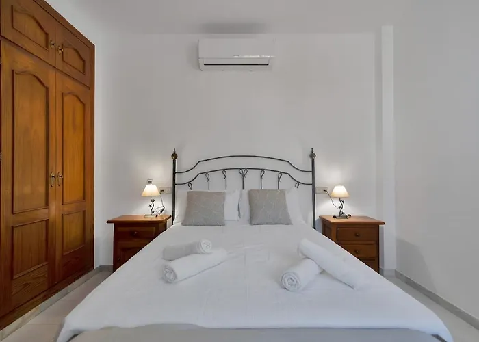 Mediterranean Near The Sea In - Palmeras 23a