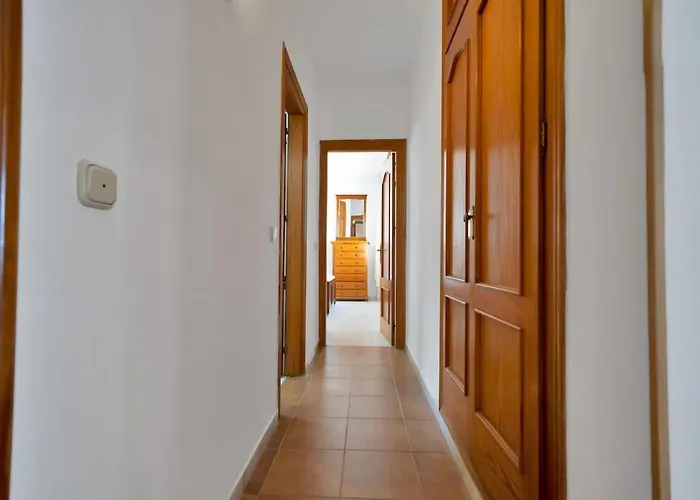 Mediterranean Near The Sea In - Palmeras 23a