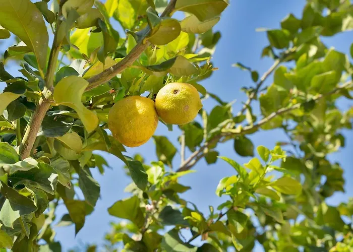 Mediterranean Near The Sea In - Palmeras 23a Апартаменты *