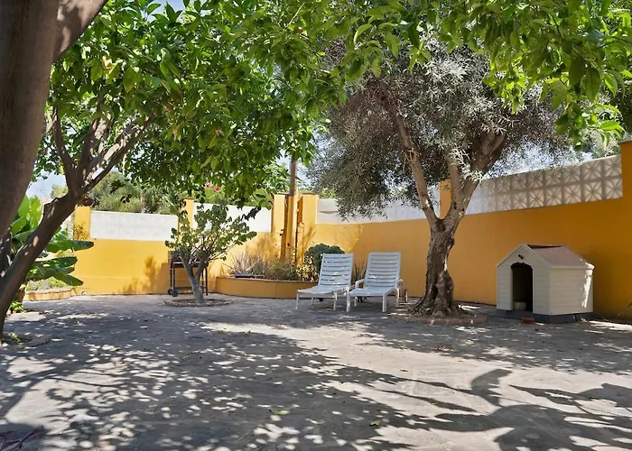 Mediterranean Near The Sea In - Palmeras 23a