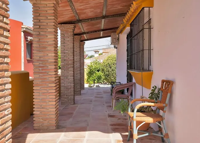 Mediterranean Near The Sea In - Palmeras 23a