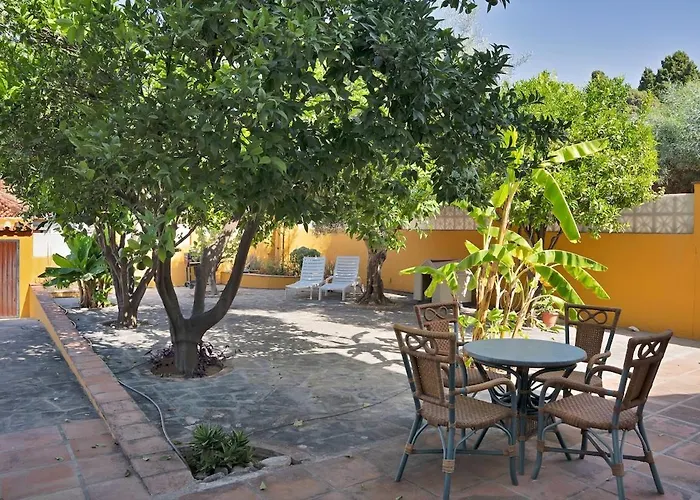 Mediterranean Near The Sea In - Palmeras 23a *